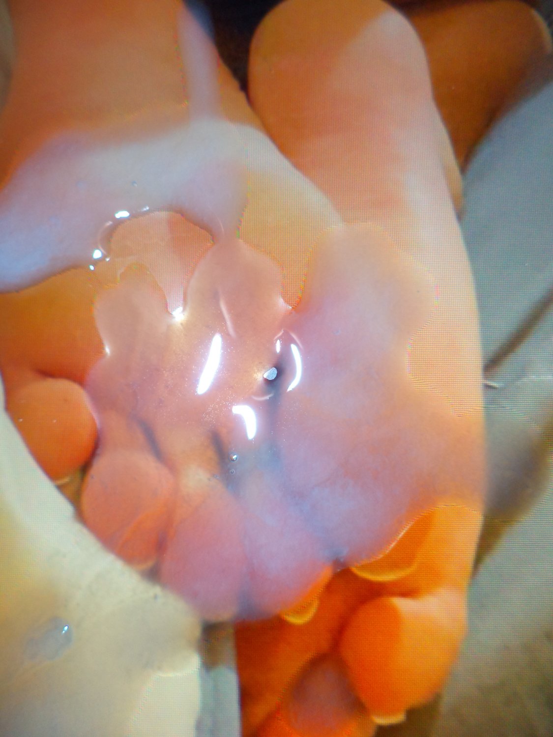 SOP - trans ass and feet #cA6OaHVV